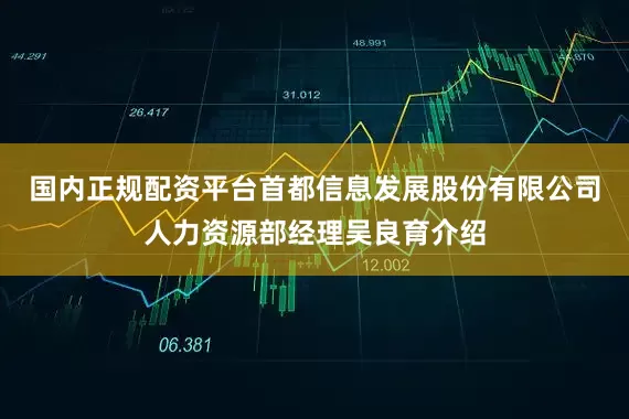 国内正规配资平台首都信息发展股份有限公司人力资源部经理吴良育介绍